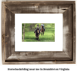 horseback riding near me in Brambleton, Virginia